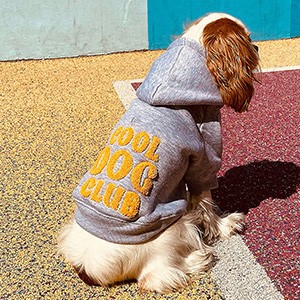 KENT - Puppia